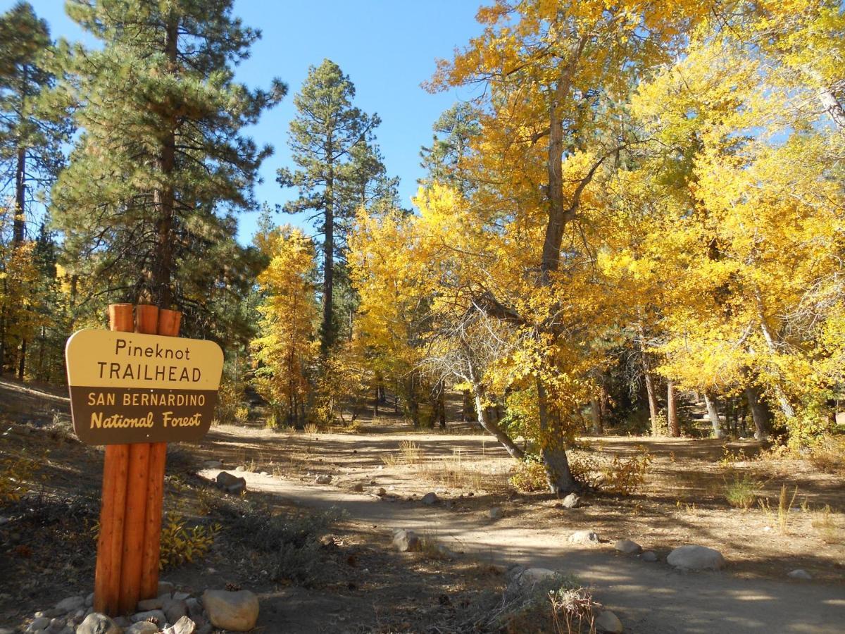 A-Frame Of Mind Villa Big Bear City Exterior photo